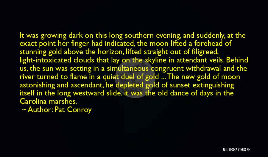 Bullion Quotes By Pat Conroy