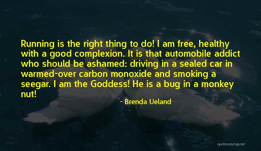 Bullroarer For Sale Quotes By Brenda Ueland