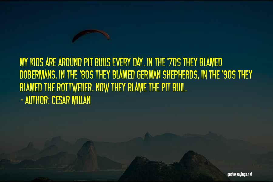 Bulls Quotes By Cesar Millan