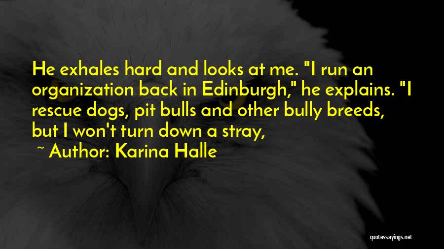 Bulls Quotes By Karina Halle