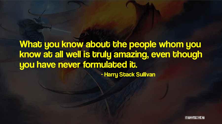 Bullshit Vs What Really Matters Quotes By Harry Stack Sullivan Bullshit Vs What Really Matters Quotes By Harry Stack Sullivan