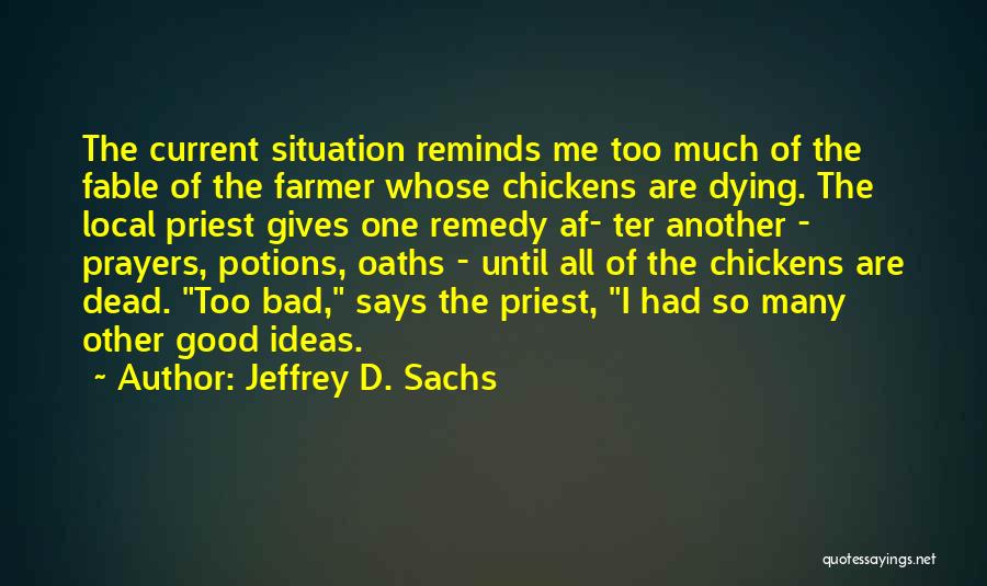 Bully Bryce Quotes By Jeffrey D. Sachs