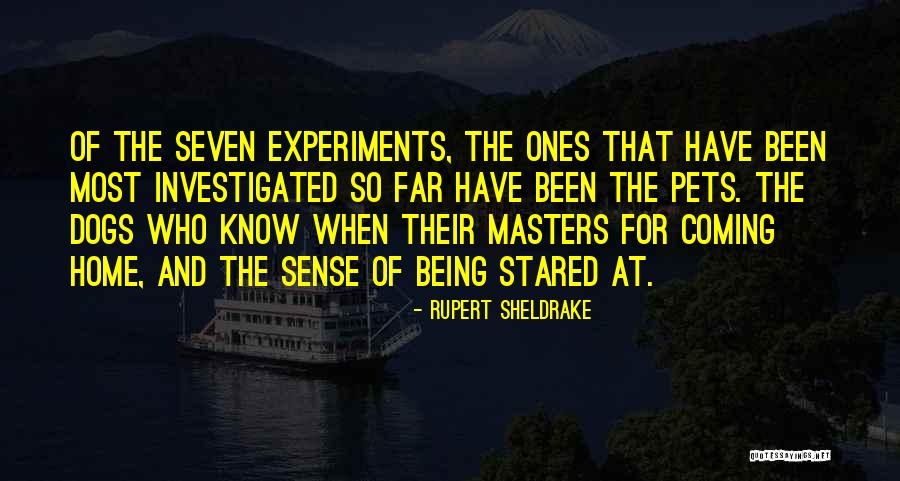 Bulmaro Ibarra Quotes By Rupert Sheldrake Bulmaro Ibarra Quotes By Rupert Sheldrake
