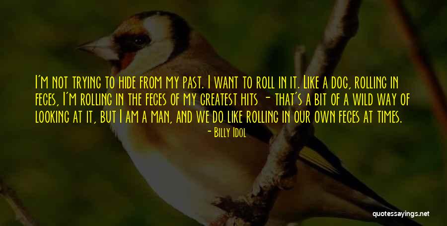 Bulsat Quotes By Billy Idol Bulsat Quotes By Billy Idol