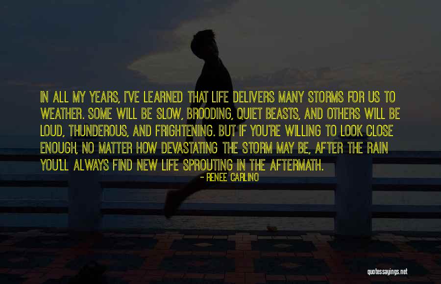 Bulwark Fire Quotes By Renee Carlino Bulwark Fire Quotes By Renee Carlino