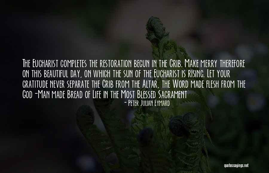 Bulwer Lytton Fiction Contest Quotes By Peter Julian Eymard Bulwer Lytton Fiction Contest Quotes By Peter Julian Eymard