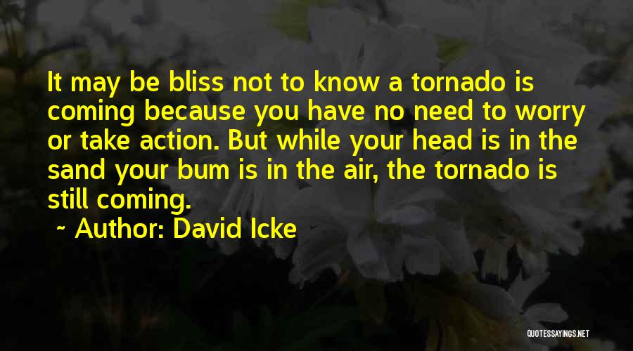 Bum Bum Quotes By David Icke