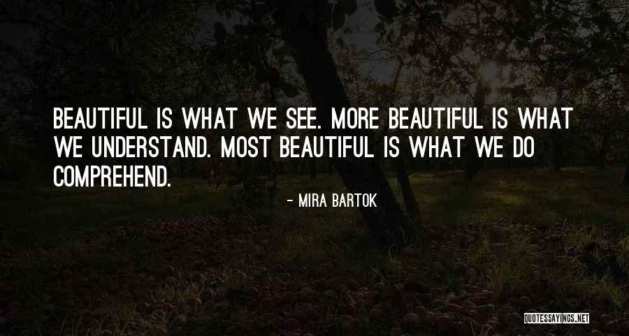 Bum Rag Quotes By Mira Bartok Bum Rag Quotes By Mira Bartok
