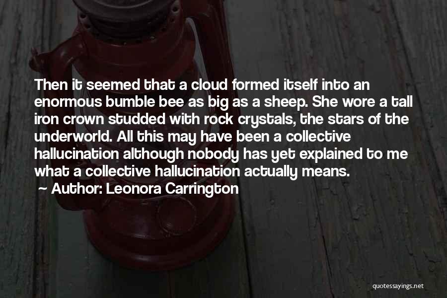 Bumble Quotes By Leonora Carrington