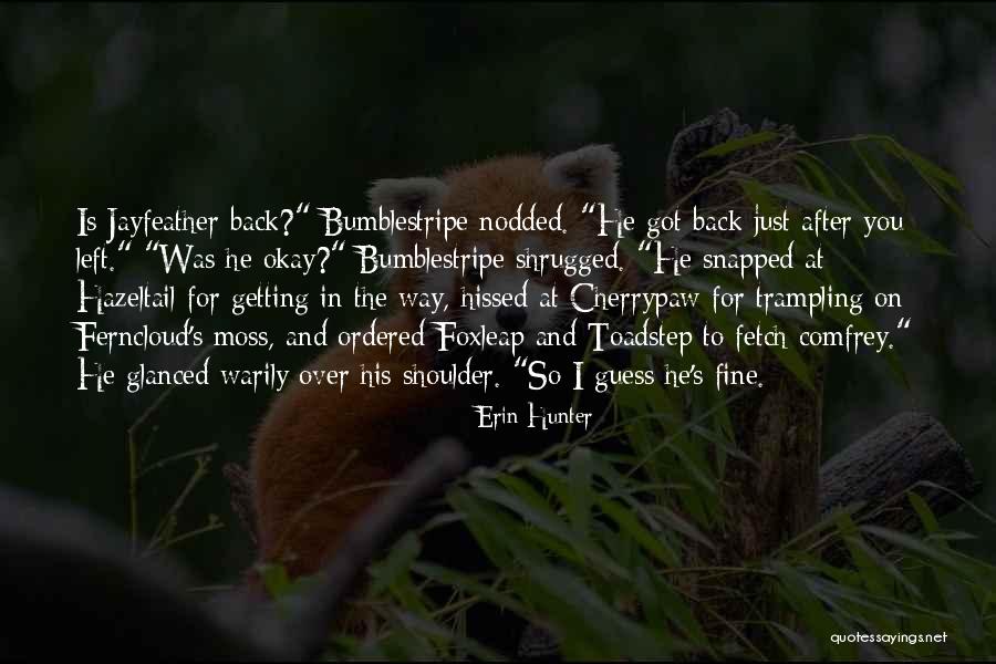 Bumblestripe X Quotes By Erin Hunter Bumblestripe X Quotes By Erin Hunter