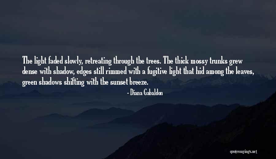 Bumhole Face Quotes By Diana Gabaldon Bumhole Face Quotes By Diana Gabaldon