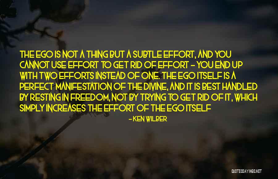 Bummel Petrus Quotes By Ken Wilber Bummel Petrus Quotes By Ken Wilber