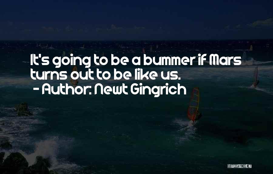 Bummer Quotes By Newt Gingrich