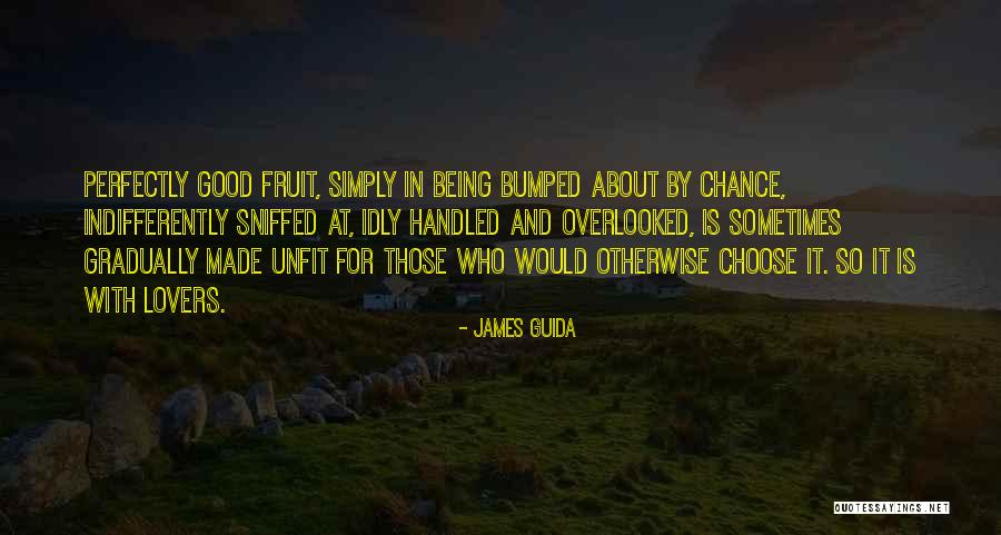 Bumped Into Each Other Quotes By James Guida