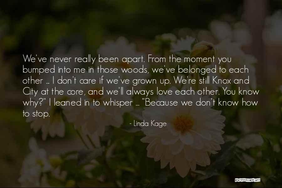 Bumped Into Each Other Quotes By Linda Kage