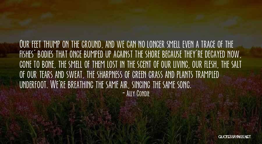 Bumped Up Quotes By Ally Condie Bumped Up Quotes By Ally Condie