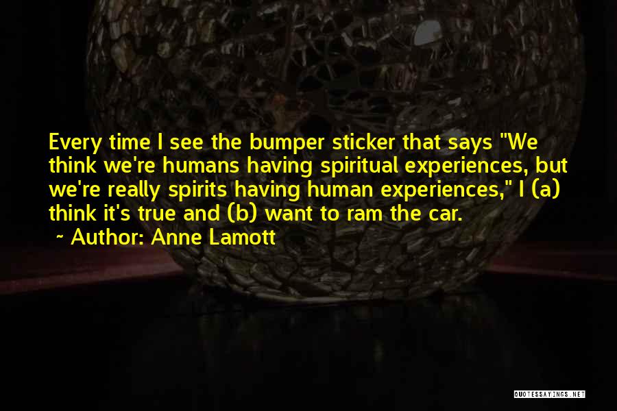 Bumper Car Quotes By Anne Lamott