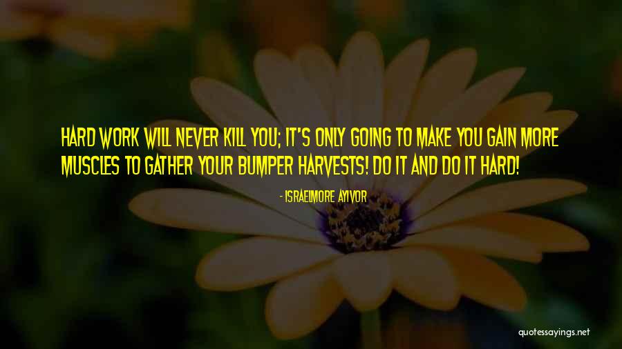 Bumper Quotes By Israelmore Ayivor Bumper Quotes By Israelmore Ayivor