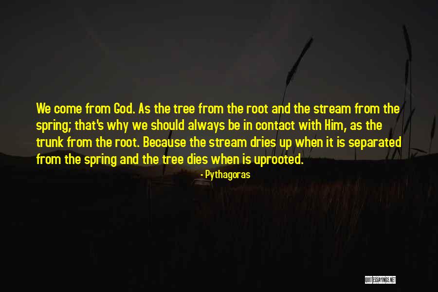 Bumpety Quotes By Pythagoras Bumpety Quotes By Pythagoras