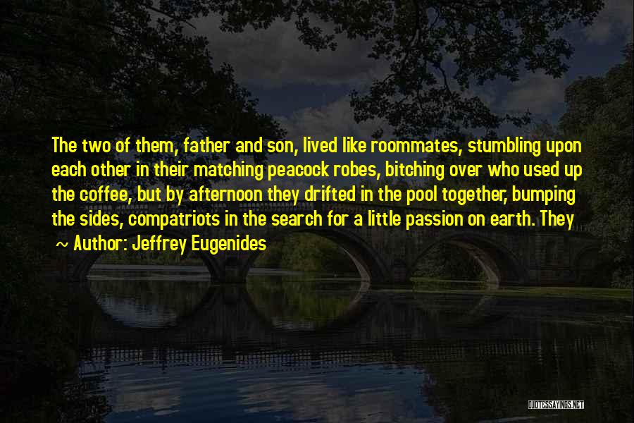 Bumping Into Your Ex Quotes By Jeffrey Eugenides