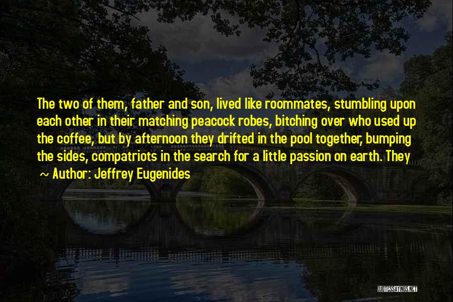 Bumping Quotes By Jeffrey Eugenides