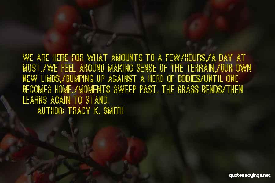 Bumping Quotes By Tracy K. Smith