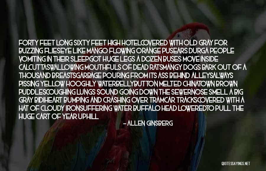 Bumping Your Head Quotes By Allen Ginsberg Bumping Your Head Quotes By Allen Ginsberg