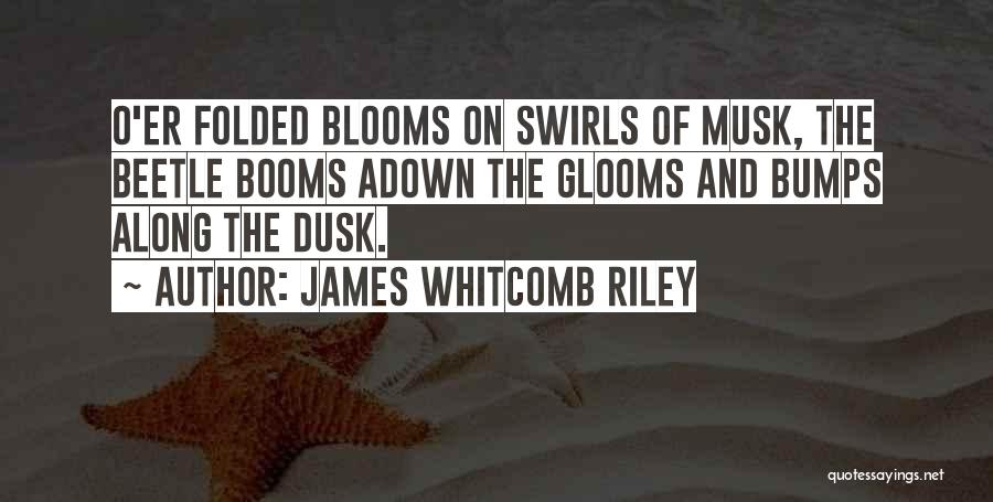 Bumps Along The Way Quotes By James Whitcomb Riley