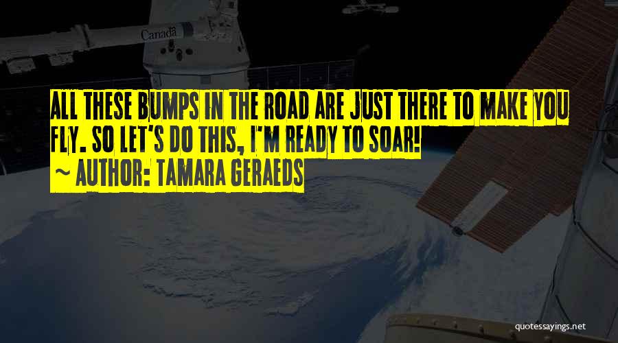 Bumps In The Road Quotes By Tamara Geraeds