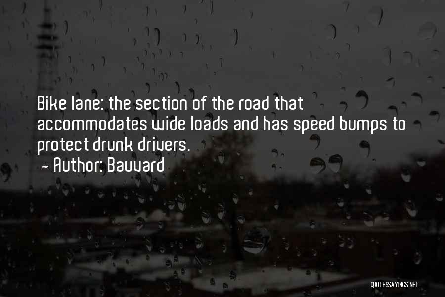 Bumps On The Road Quotes By Bauvard