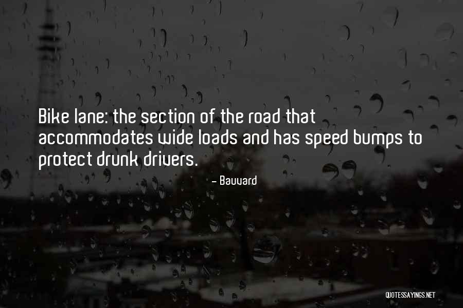 Bumps On The Road Quotes By Bauvard