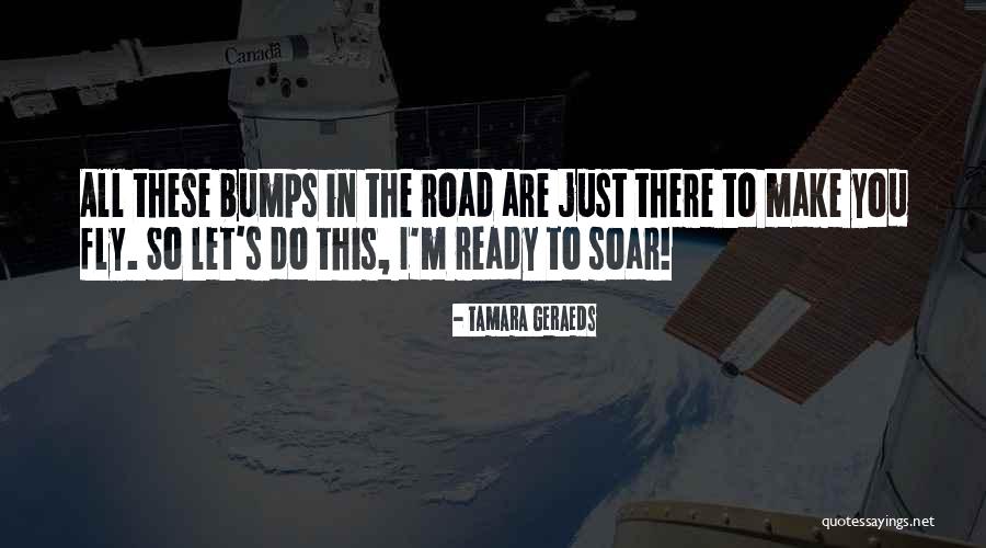 Bumps On The Road Quotes By Tamara Geraeds