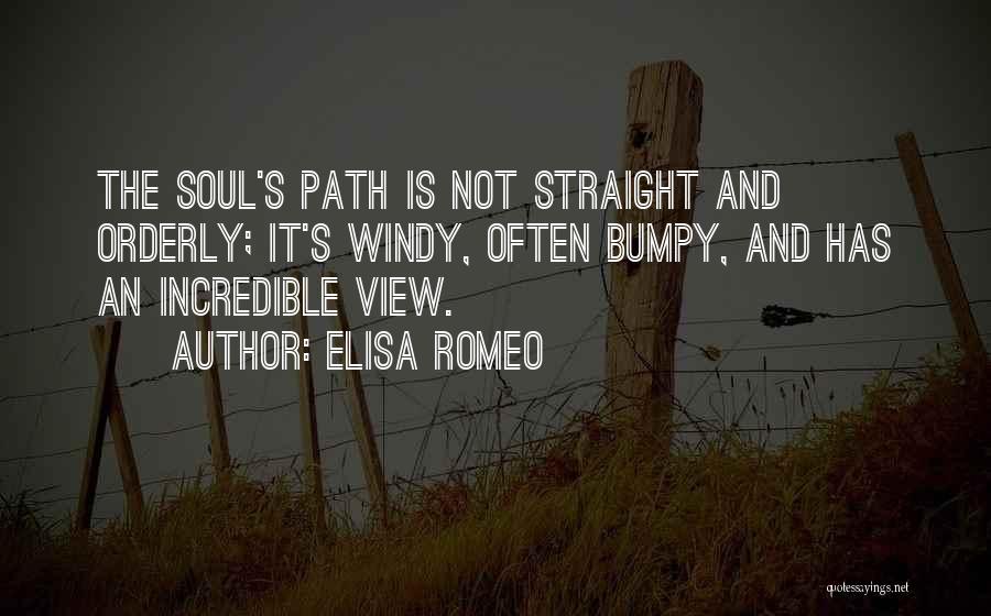 Bumpy Path Quotes By Elisa Romeo