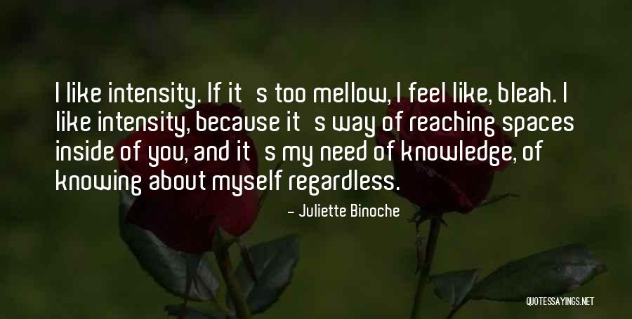 Bunarail Quotes By Juliette Binoche Bunarail Quotes By Juliette Binoche