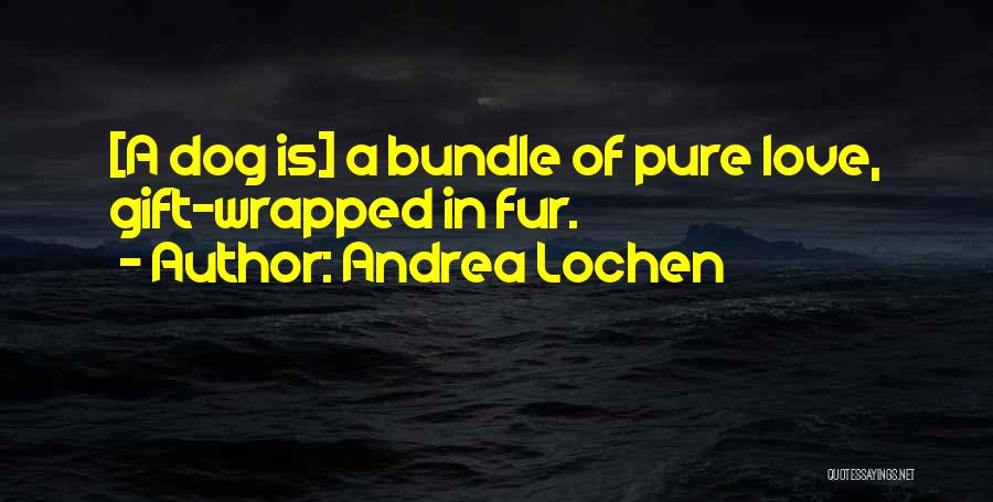 Bundle Of Love Quotes By Andrea Lochen