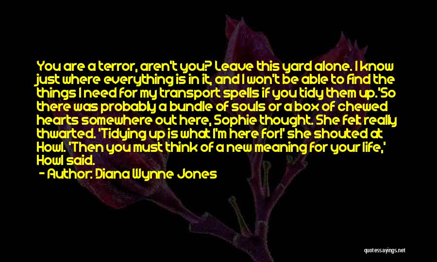 Bundle Up Quotes By Diana Wynne Jones