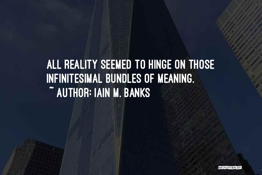 Bundles Quotes By Iain M. Banks