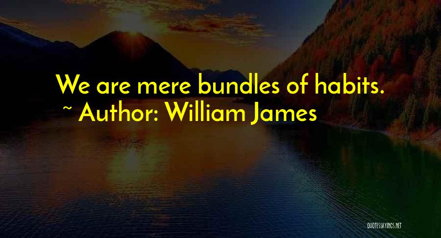 Bundles Quotes By William James