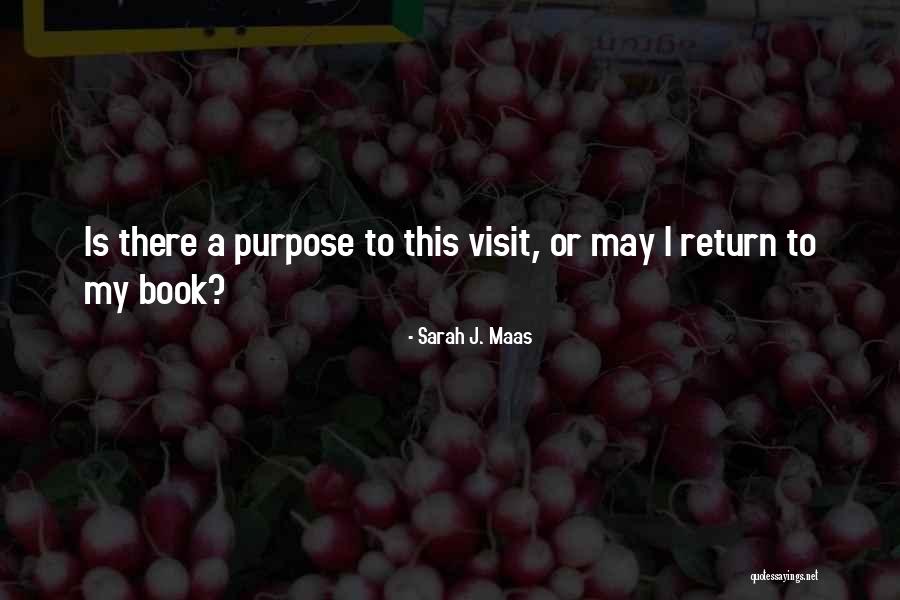 Bunee Burkina Quotes By Sarah J. Maas
