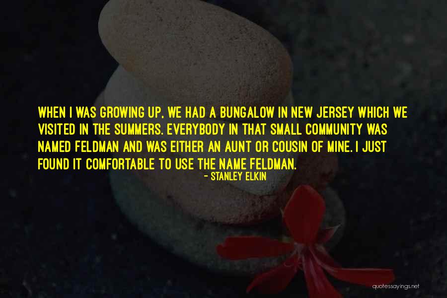 Bungalow Quotes By Stanley Elkin Bungalow Quotes By Stanley Elkin