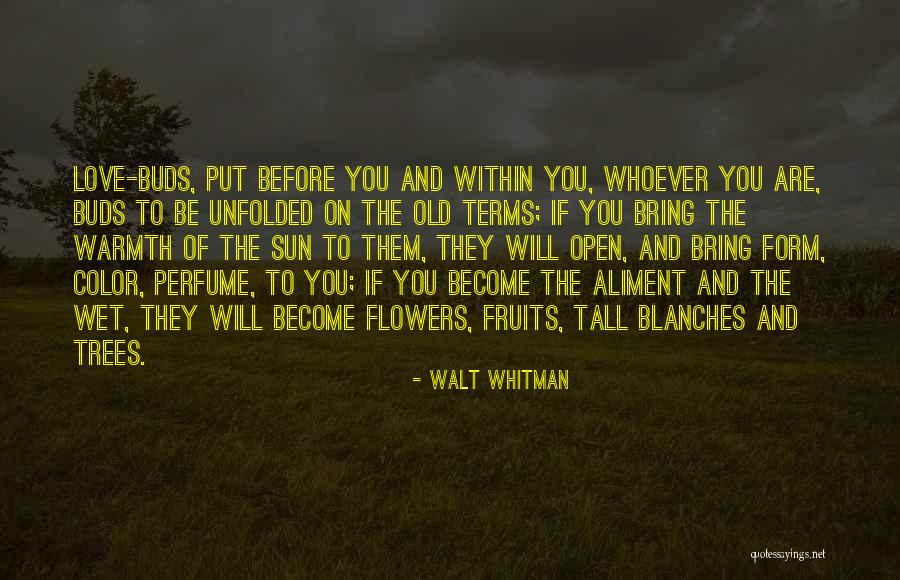 Bunghole Harlots Quotes By Walt Whitman Bunghole Harlots Quotes By Walt Whitman