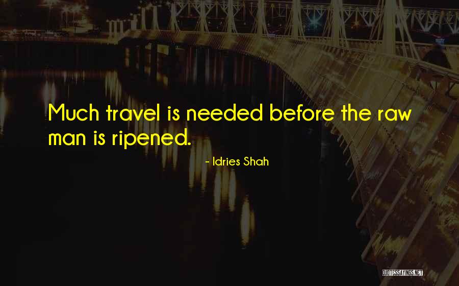 Bungles Bungles Quotes By Idries Shah