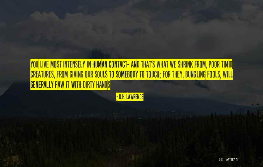 Bungling Quotes By D.H. Lawrence Bungling Quotes By D.H. Lawrence