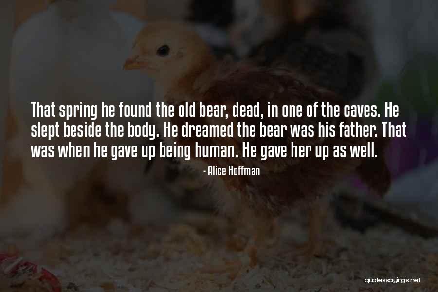Bungo Baggins Quotes By Alice Hoffman Bungo Baggins Quotes By Alice Hoffman