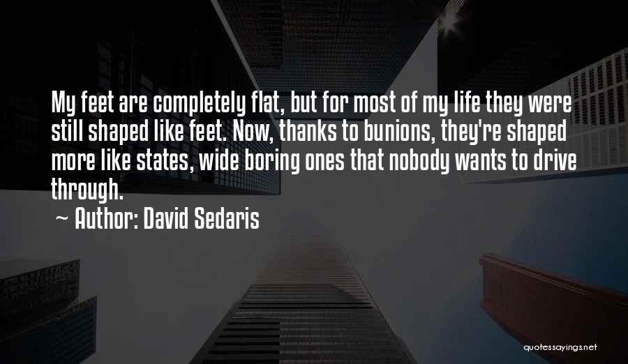 Bunions Quotes By David Sedaris