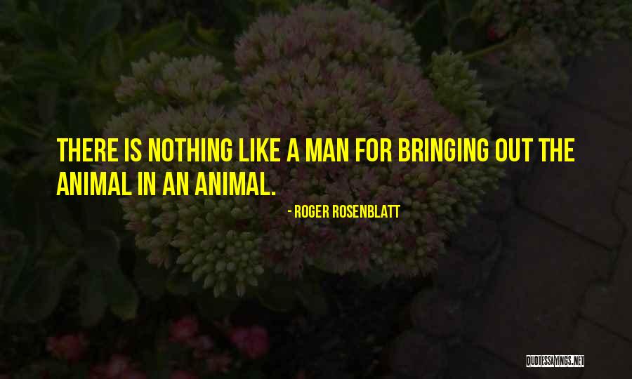 Bunitim Quotes By Roger Rosenblatt Bunitim Quotes By Roger Rosenblatt