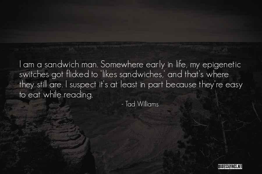 Bunkum Cave Quotes By Tad Williams Bunkum Cave Quotes By Tad Williams