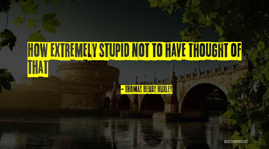 Bunny Cat Dog Quotes By Thomas Henry Huxley Bunny Cat Dog Quotes By Thomas Henry Huxley