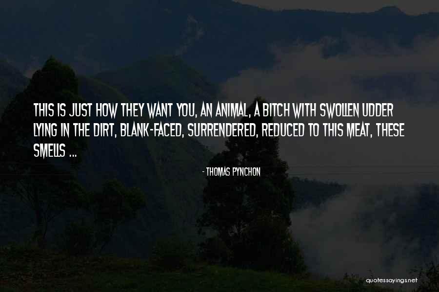 Bunnymens Quotes By Thomas Pynchon Bunnymens Quotes By Thomas Pynchon