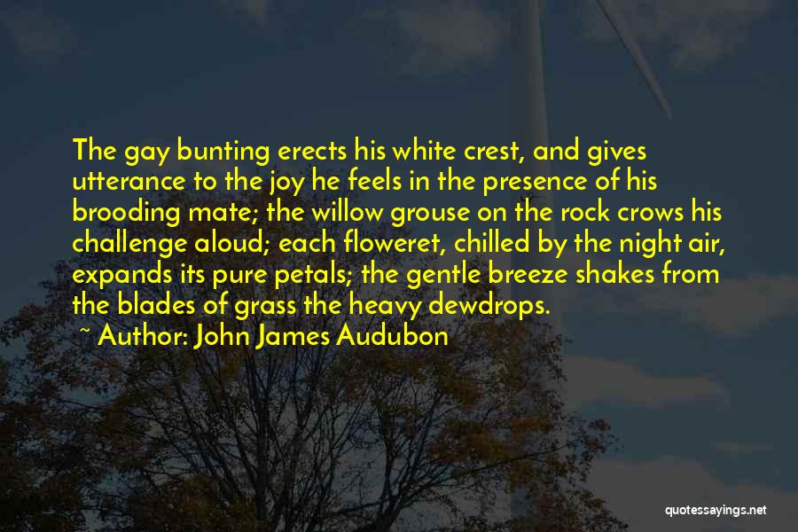Bunting Quotes By John James Audubon